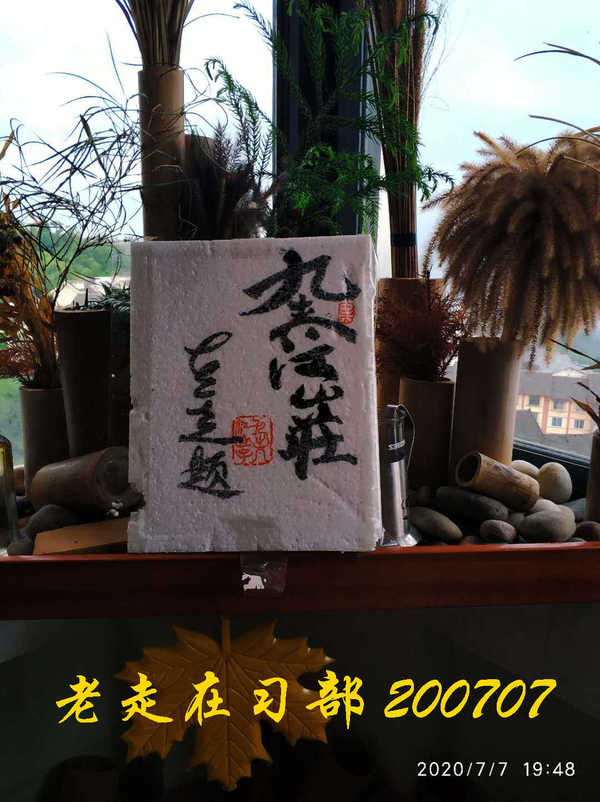 JYZ 20200707 WYB (51).jpg