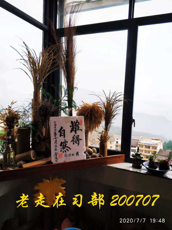 JYZ 20200707 WYB (53).jpg