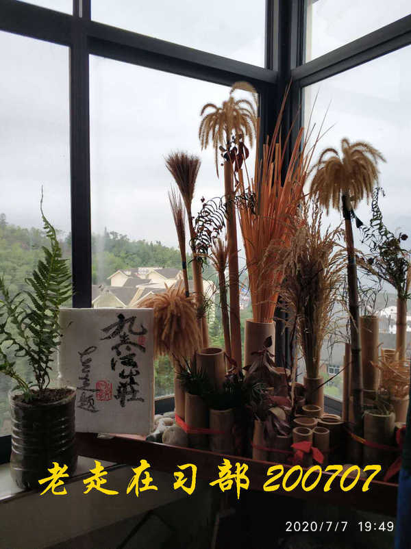 JYZ 20200707 WYB (54).jpg