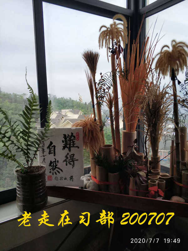 JYZ 20200707 WYB (55).jpg