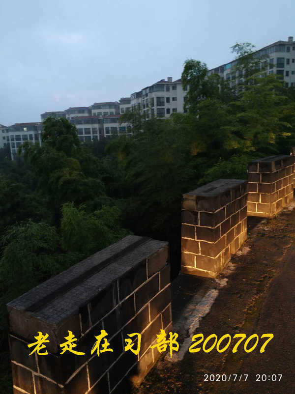 JYZ 20200707 WYB (59).jpg