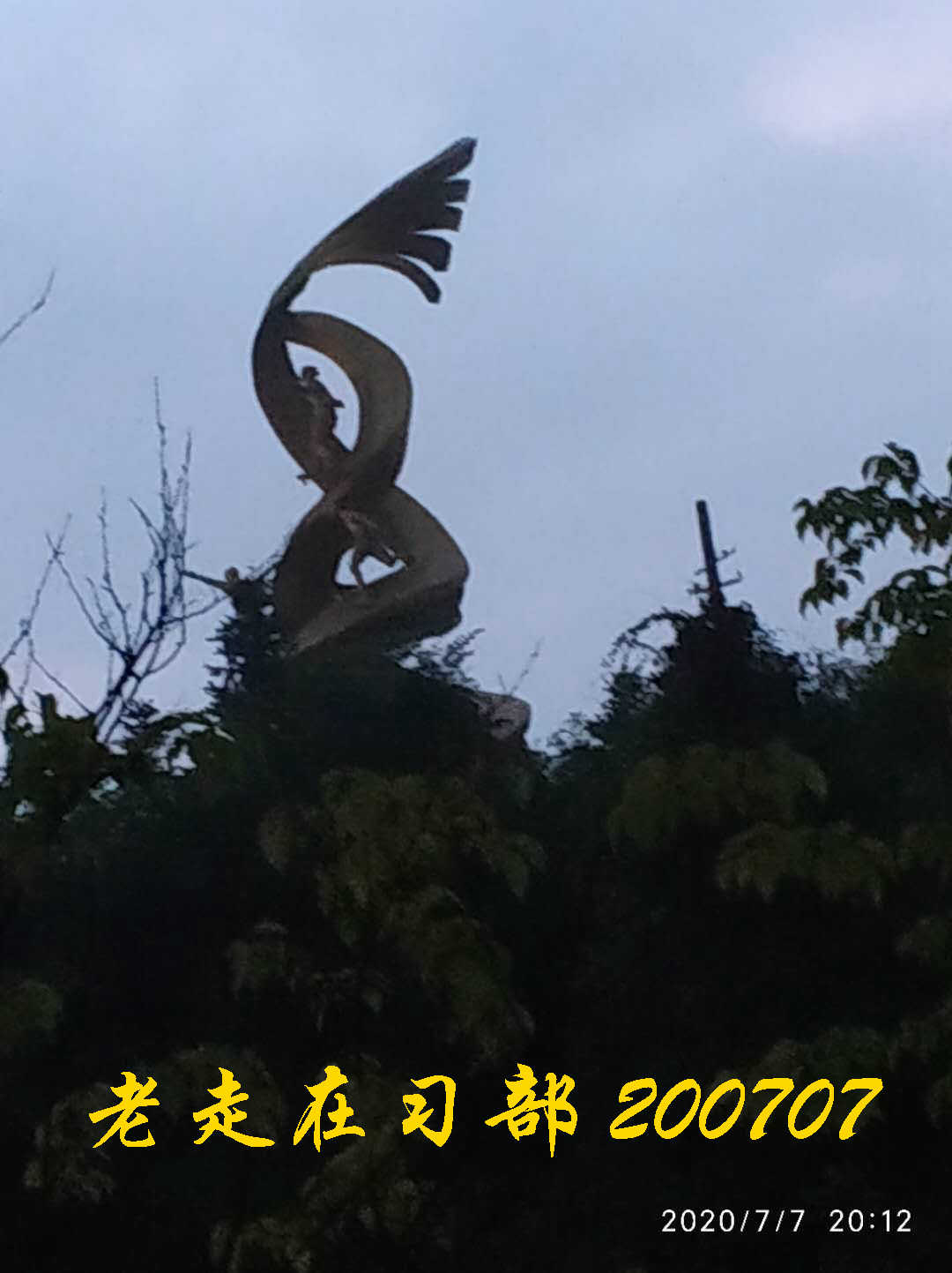 JYZ 20200707 WYB (62).jpg