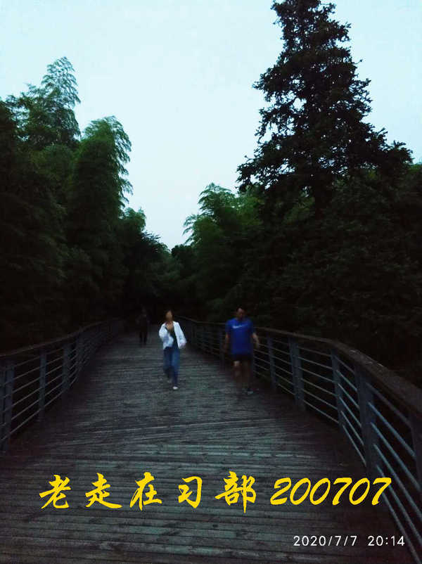 JYZ 20200707 WYB (63).jpg