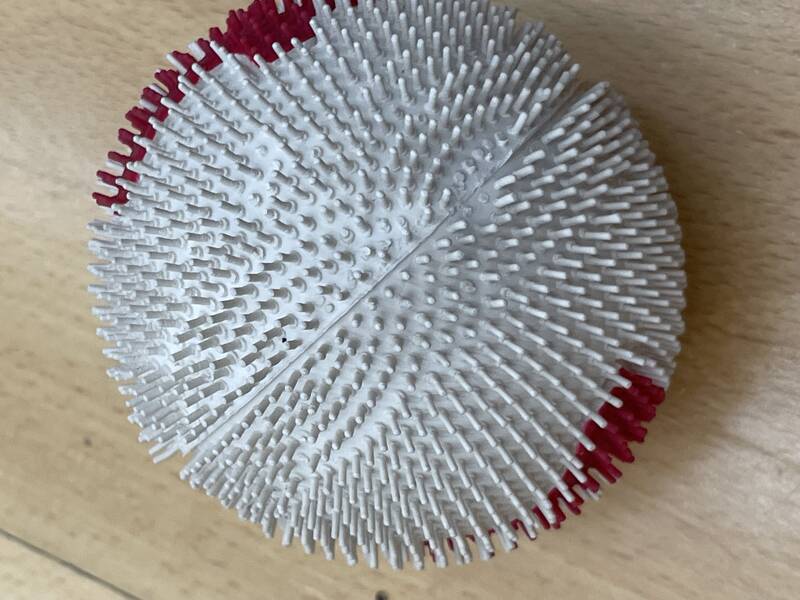 ëë�T����