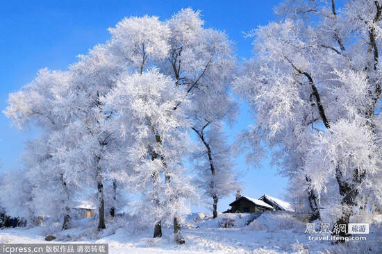 ��������ڡ����