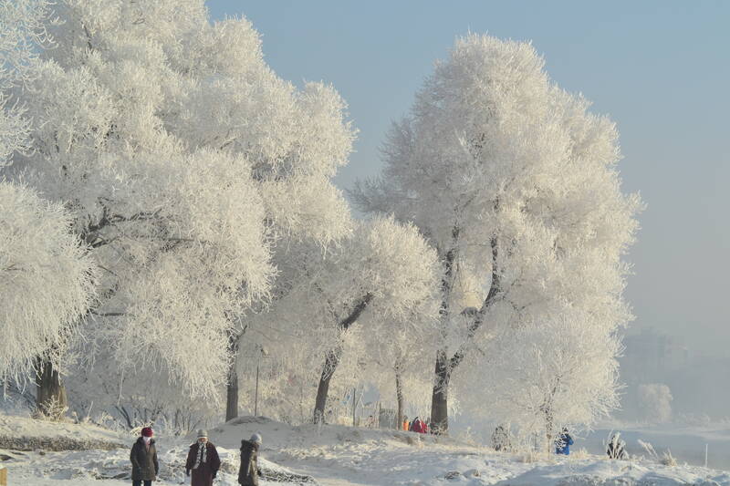 DSC_0062.JPG