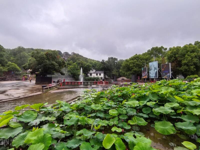 ��ͼΪ������������̬�����������ú����ޡ���7��������Ⱥ��Ӱ��.jpg