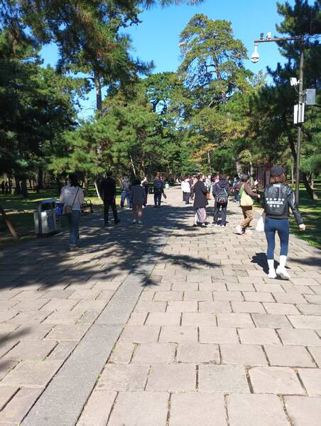 ΢��ͼƬ_20261001204639_1308_2.jpg