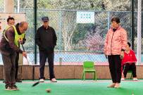 ����ָ��������ѧϰ��������  �����